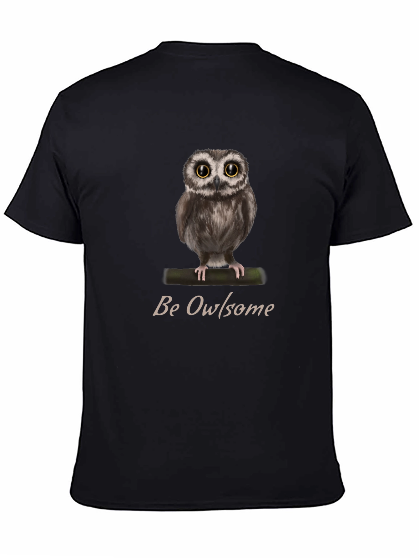 Be Owlsome T-Shirt - Cute Owl Graphic Tee