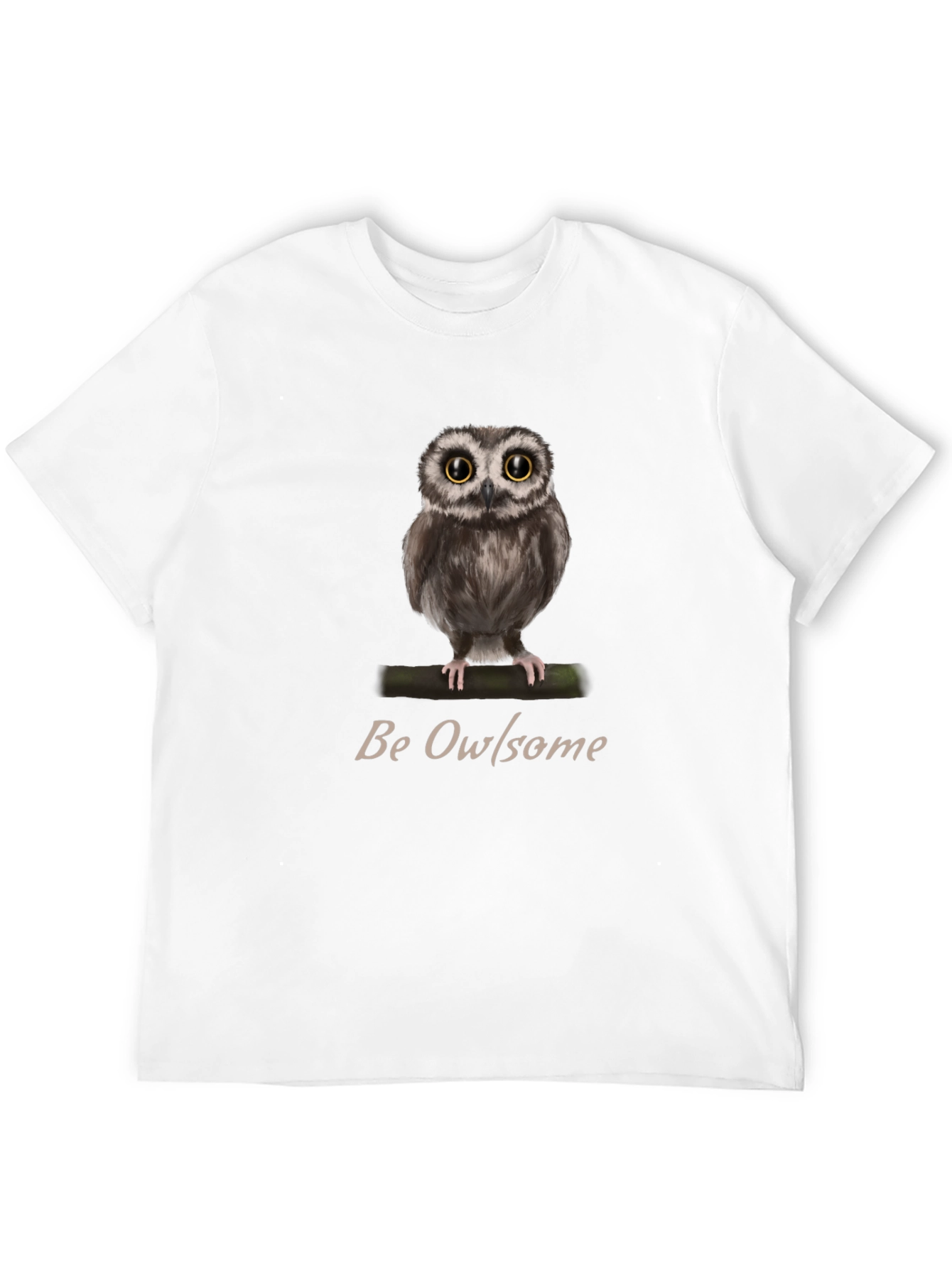 Be Owlsome T-Shirt - Cute Owl Graphic Tee