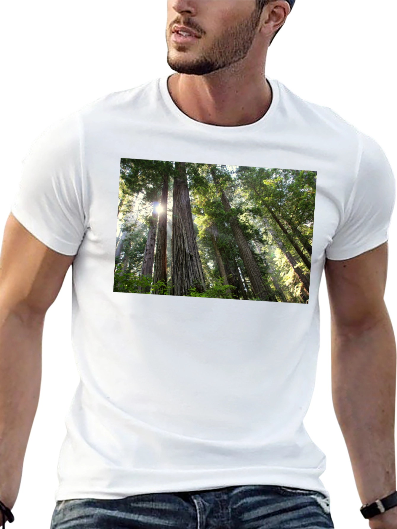 Forest Scene Black T-Shirt