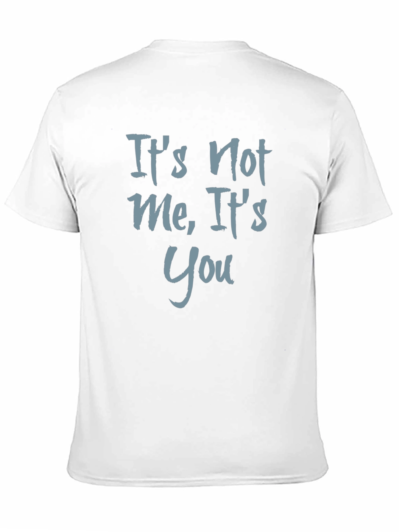 Its Not Me Its You Graphic Tee