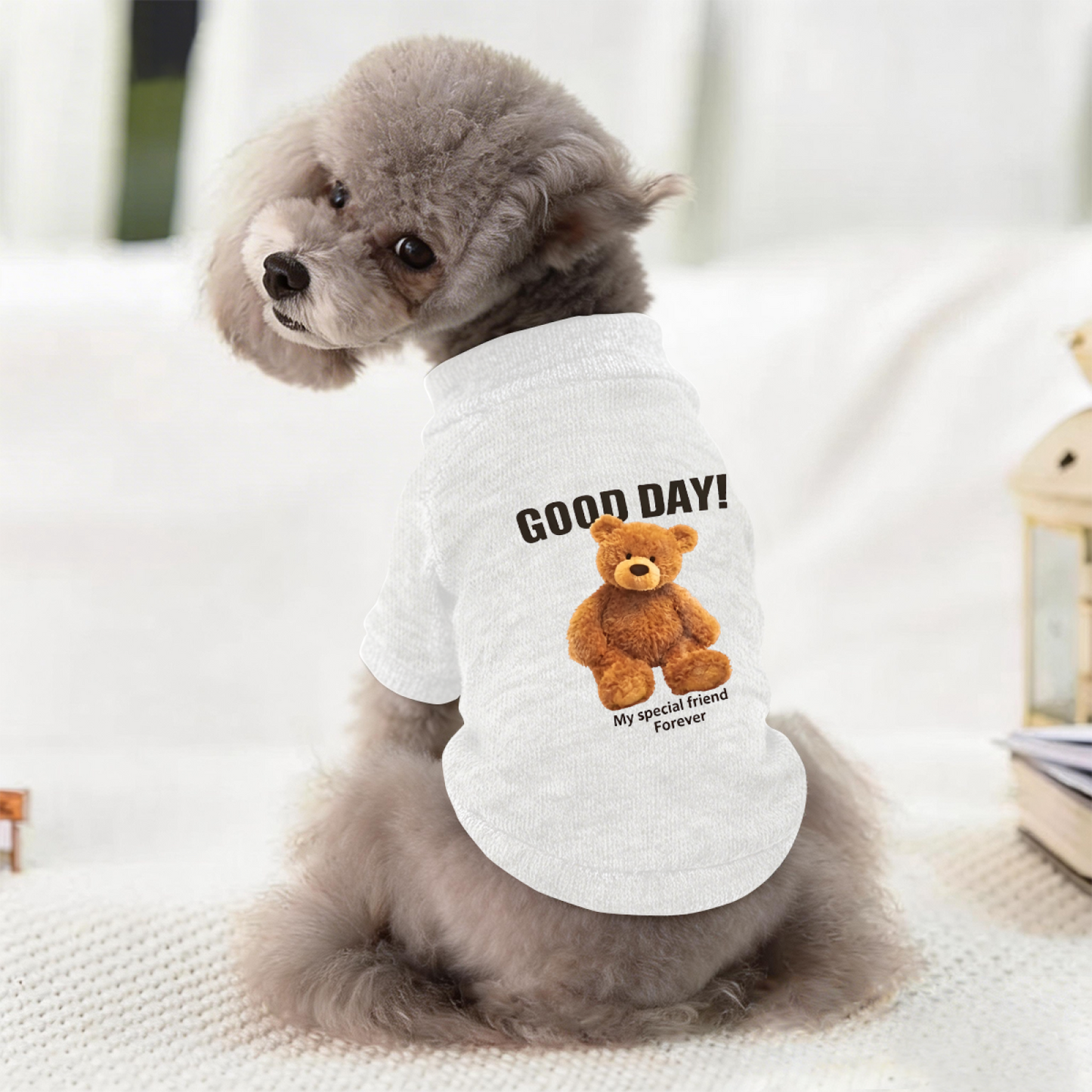 GOOD DAY Teddy Bear My Special Friend Pet Sweater