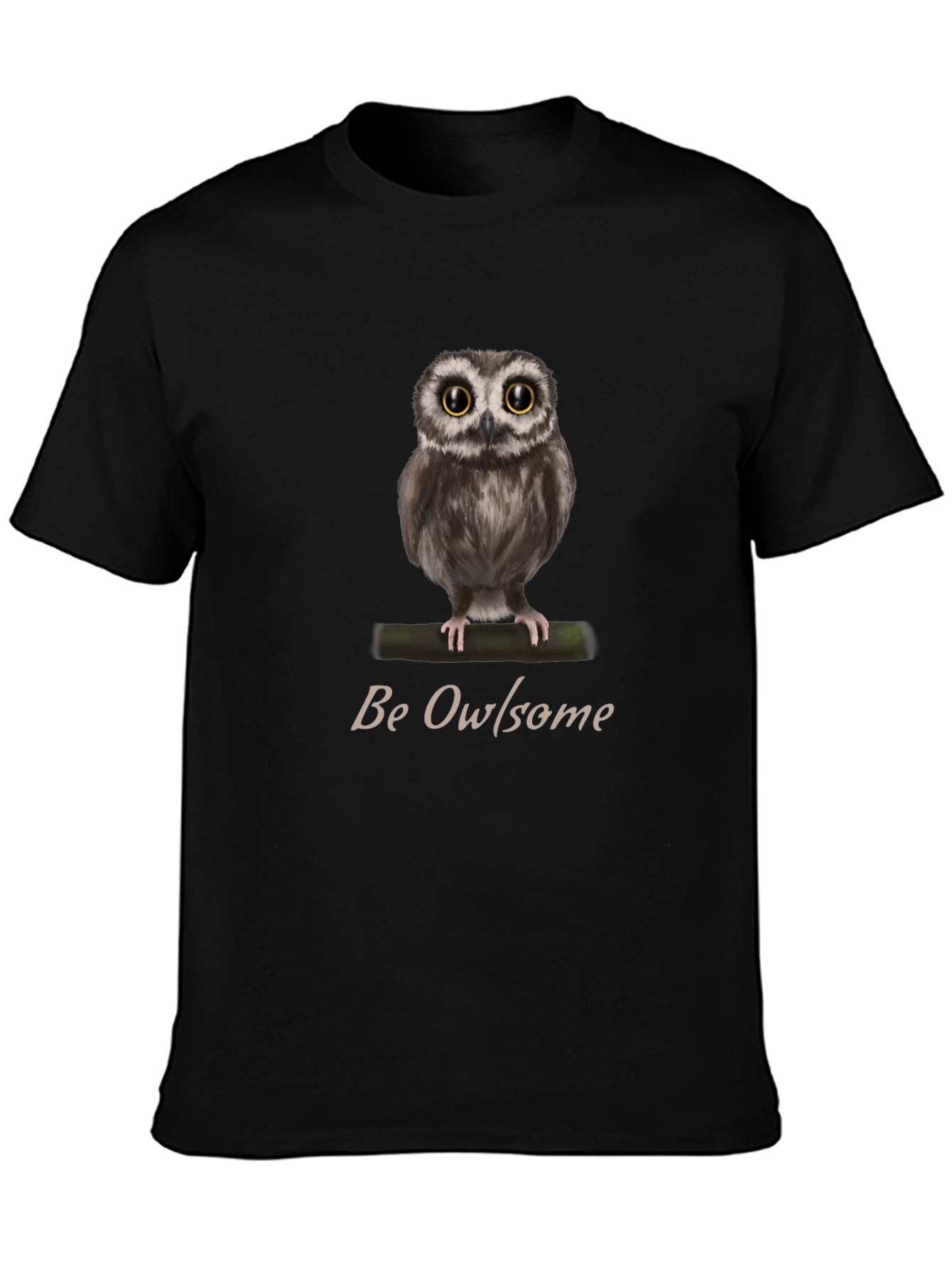 Be Owlsome T-Shirt - Cute Owl Graphic Tee