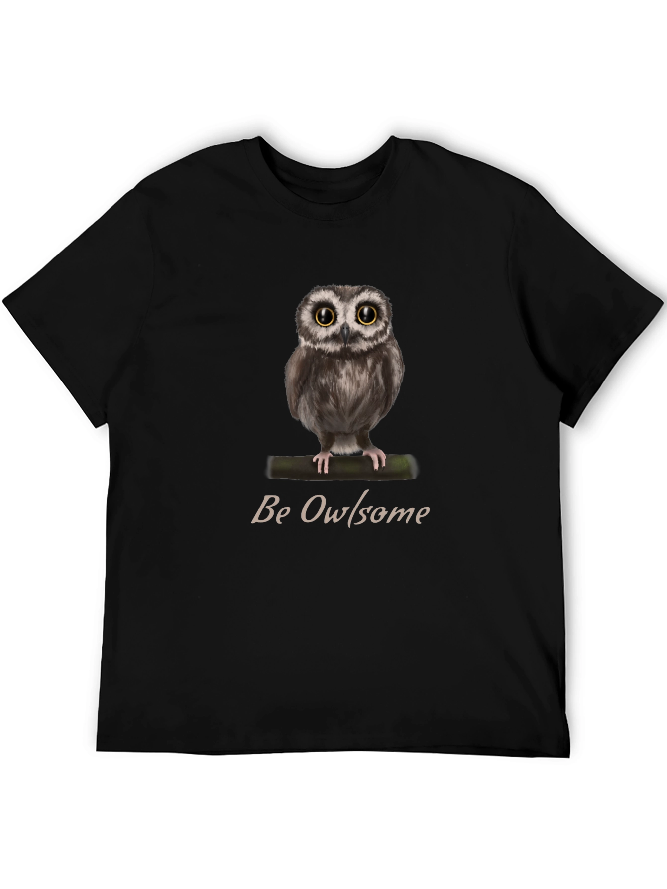 Be Owlsome T-Shirt - Cute Owl Graphic Tee