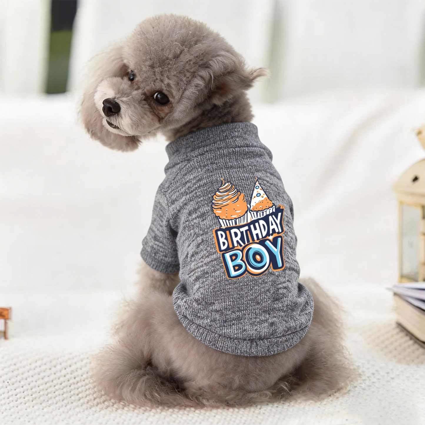 Birthday Boy Color Cupcake Grey Party Dog Outfit