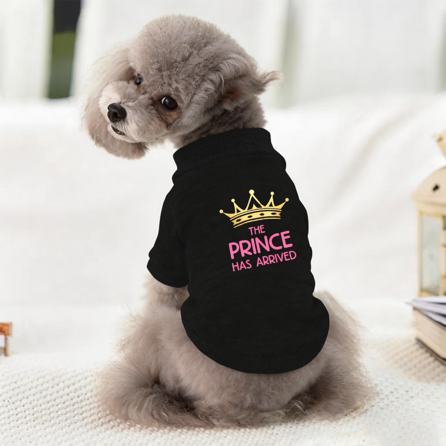 The Prince Has Arrived Cute Crown Dog Warm Sweater
