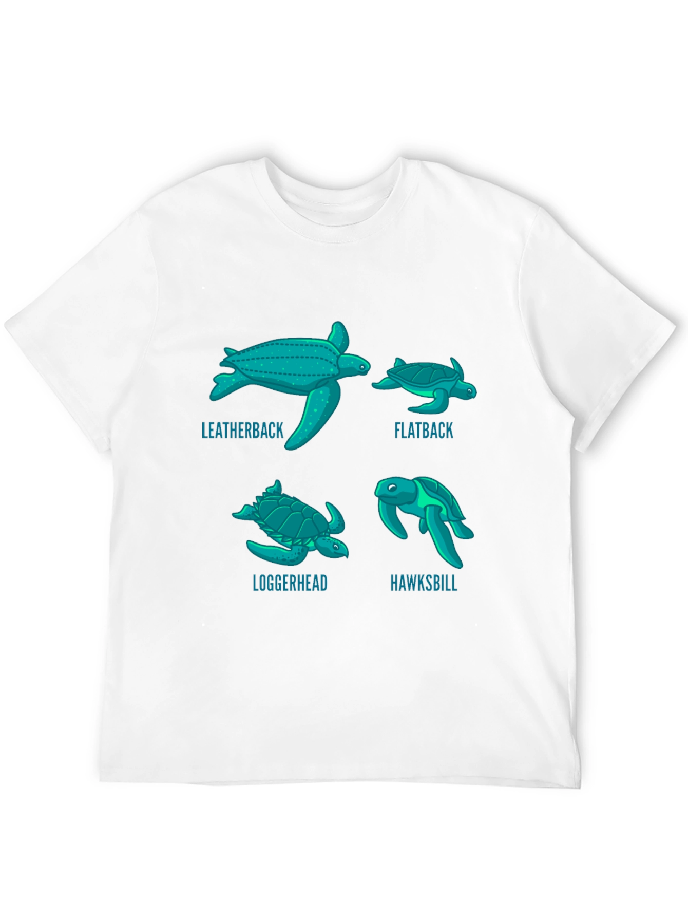 Turtle Species T-Shirt: Leatherback Flatback Loggerhead Hawksbill