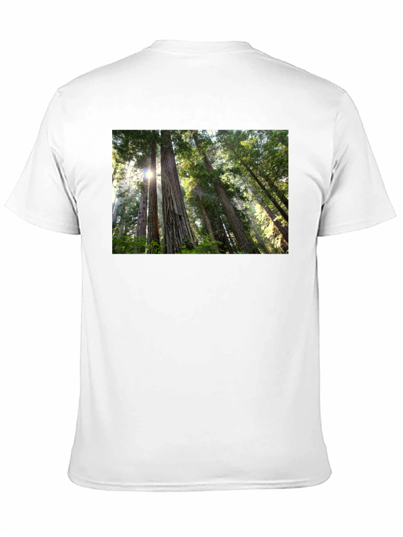 Forest Scene Black T-Shirt