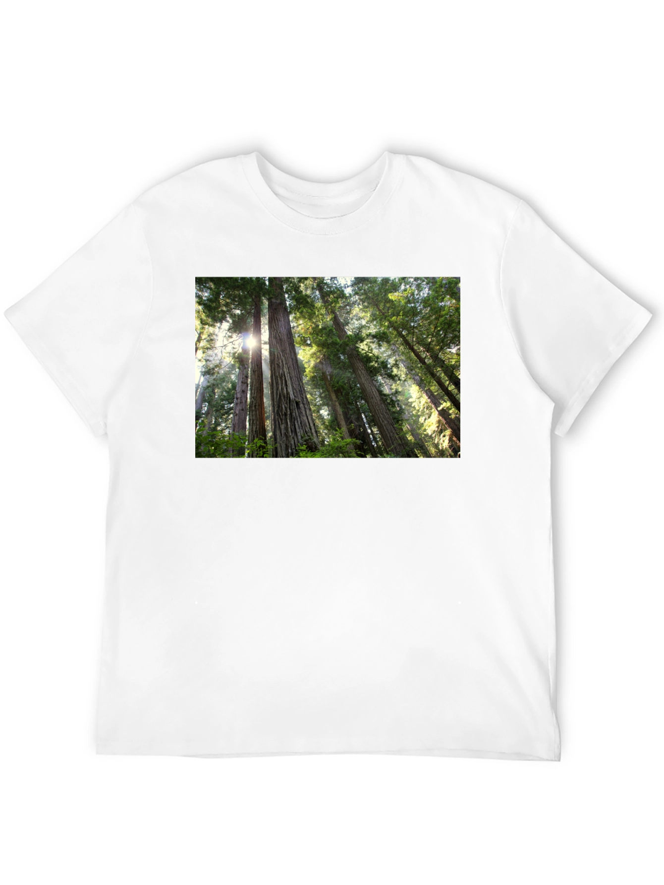Forest Scene Black T-Shirt