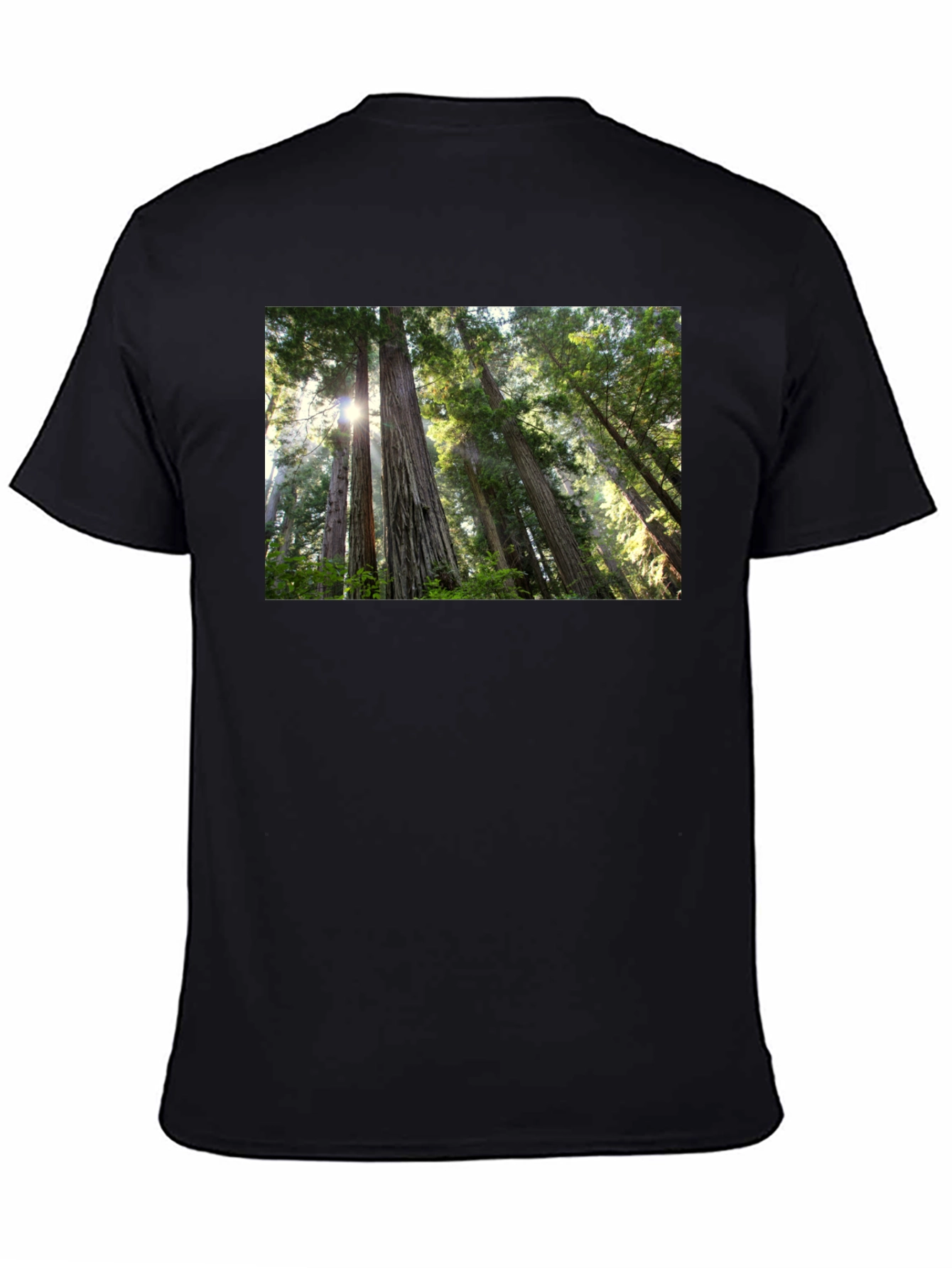 Forest Scene Black T-Shirt
