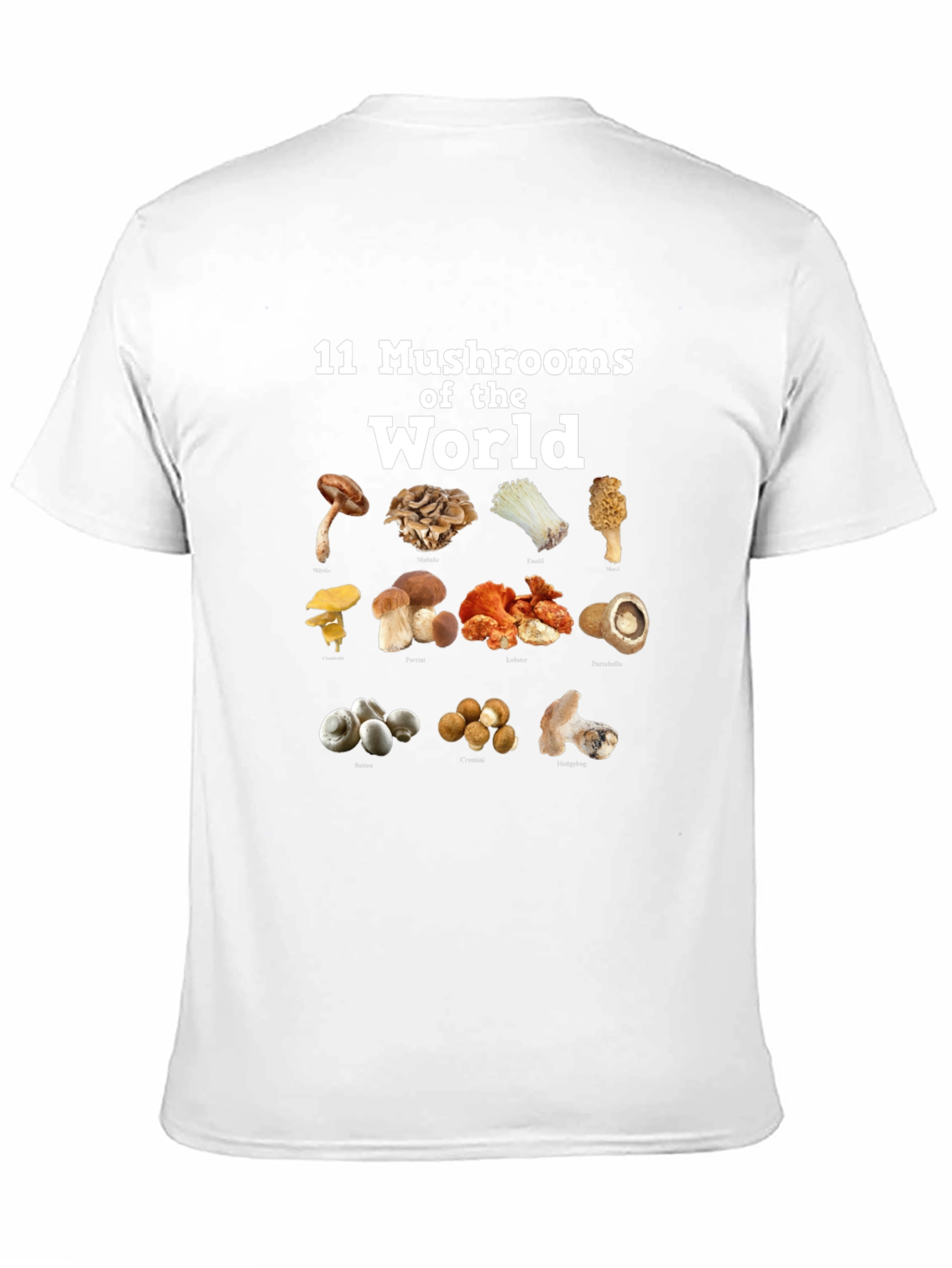 11 Mushrooms of the World T-Shirt