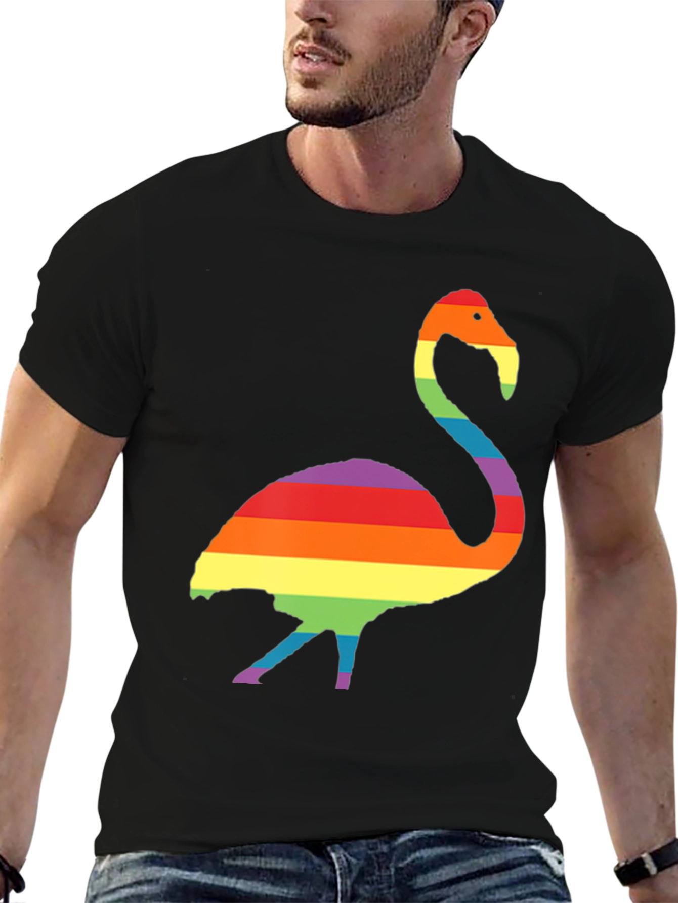 Rainbow Flamingo Graphic T-Shirt