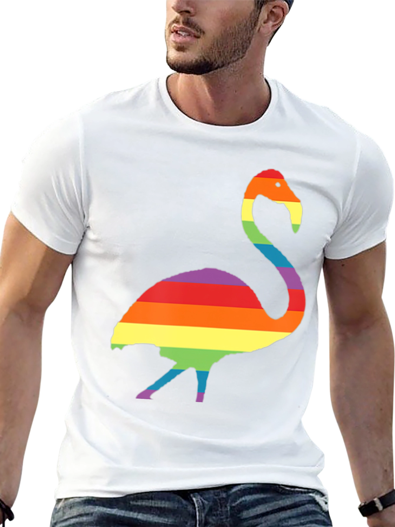 Rainbow Flamingo Graphic T-Shirt