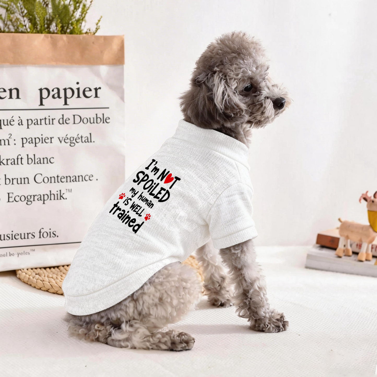 I¡¯m Not Spoiled My Human Is Well Trained Funny White Pet Sweater