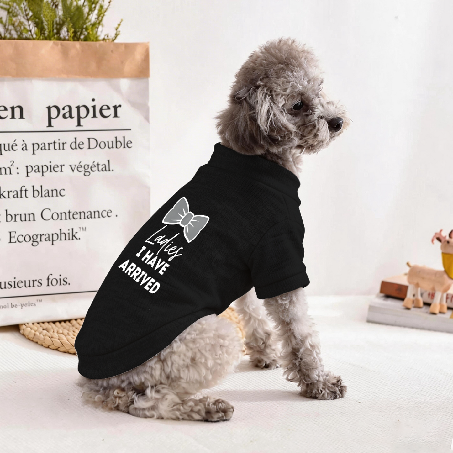 Bow Tie Ladies I Have Arrived Handsome Boy Dog Cardigan Sweater