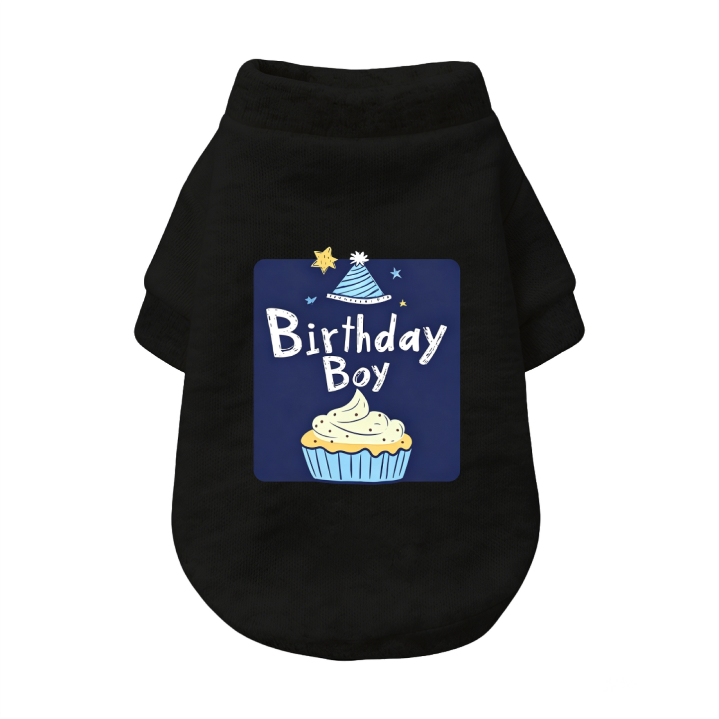 Birthday Boy Cupcake Party Pet Outfit Sweater