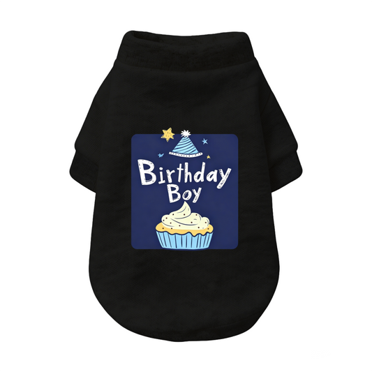 Birthday Boy Cupcake Party Pet Outfit Sweater