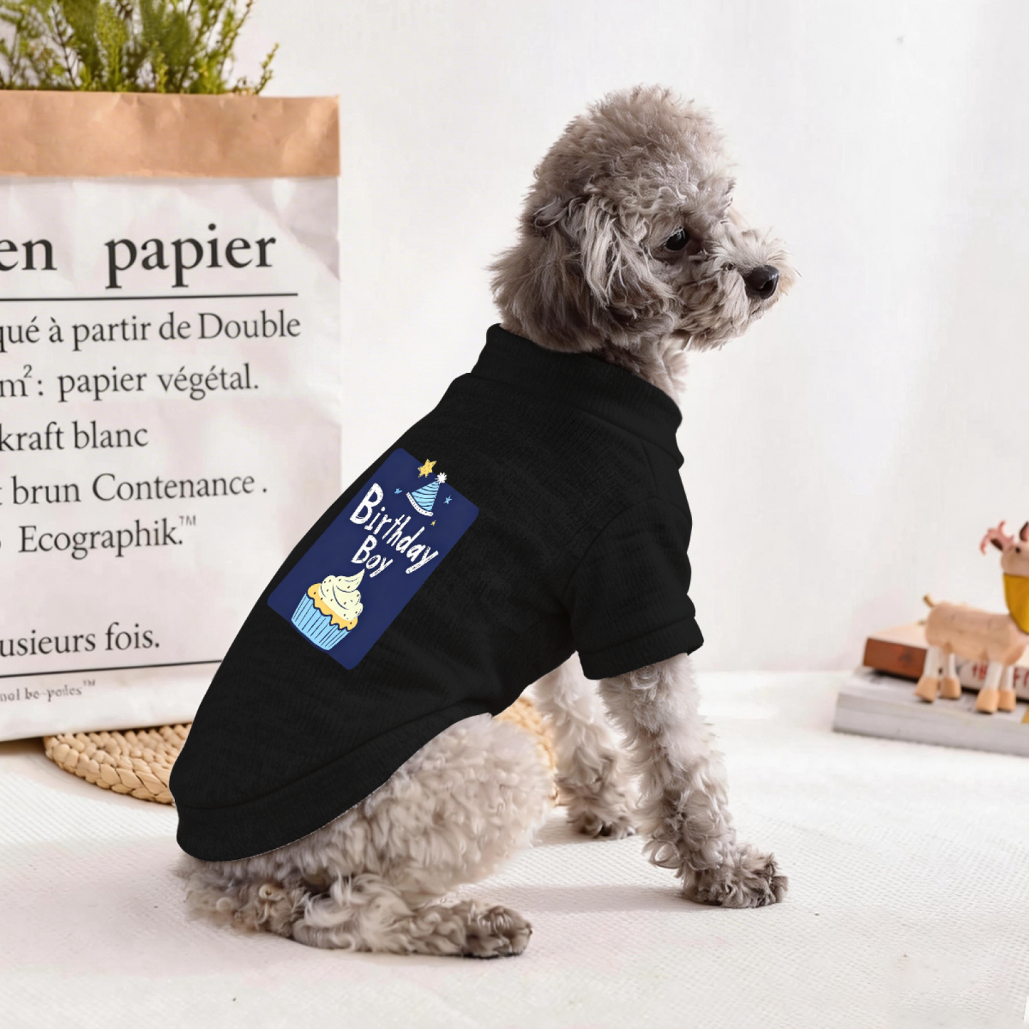 Birthday Boy Cupcake Party Pet Outfit Sweater