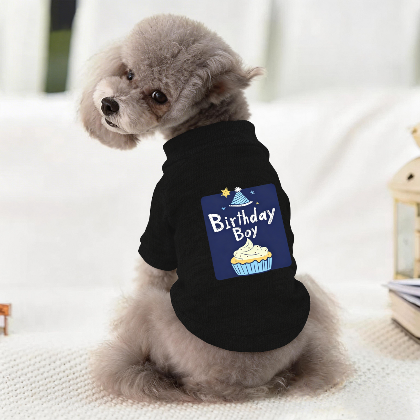 Birthday Boy Cupcake Party Pet Outfit Sweater