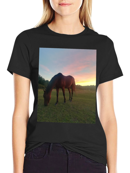 Horse Sunset Graphic Tee - Nature Lover Shirt