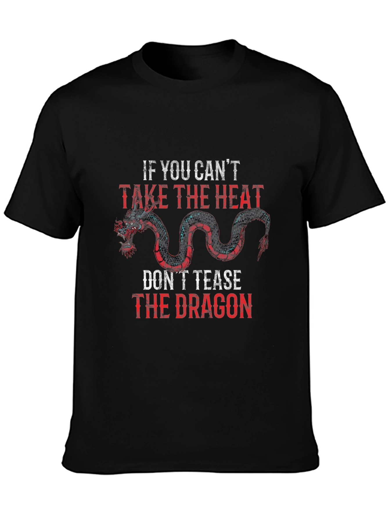 Dragon Graphic T-Shirt - Take the Heat