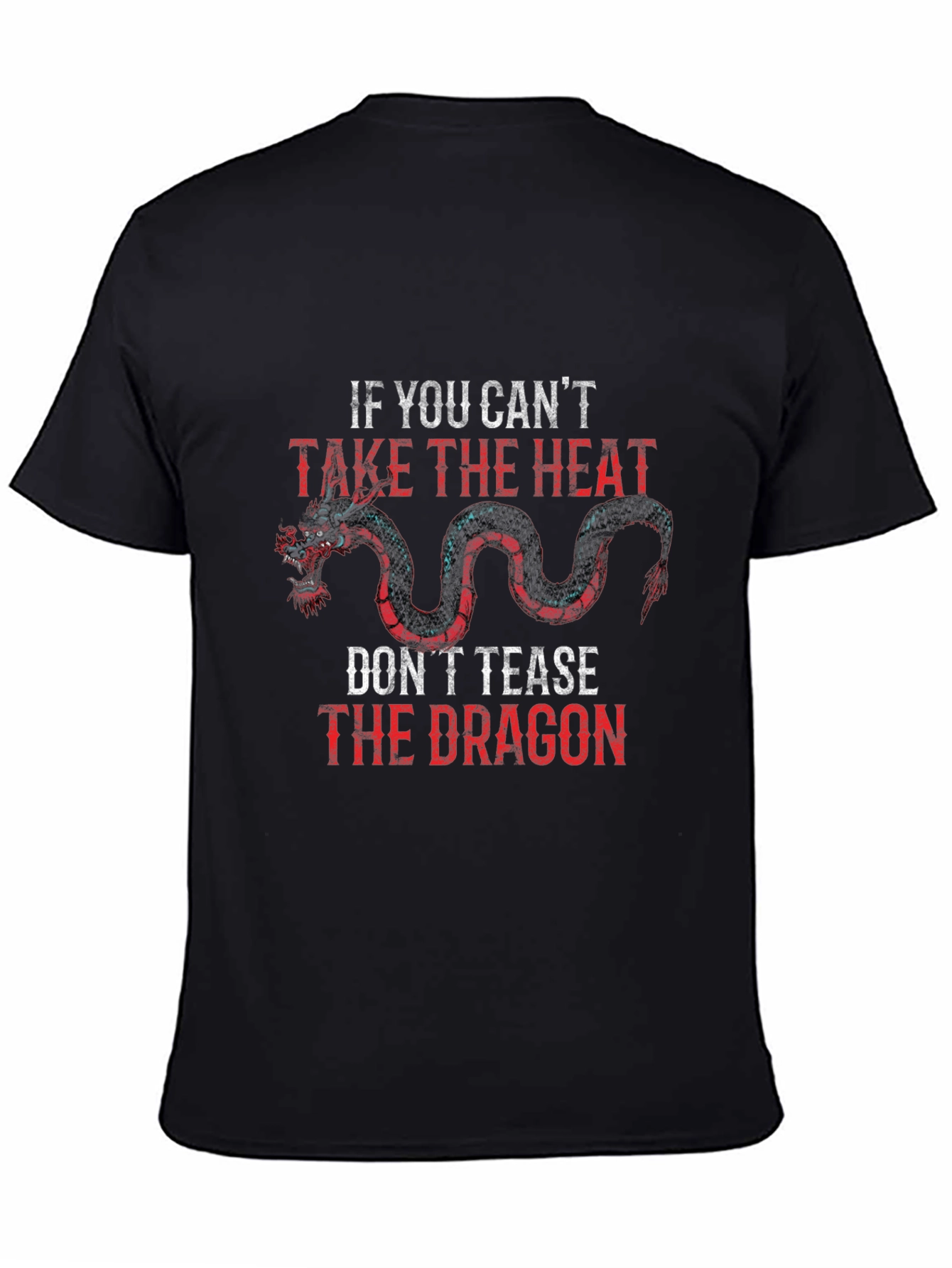 Dragon Graphic T-Shirt - Take the Heat