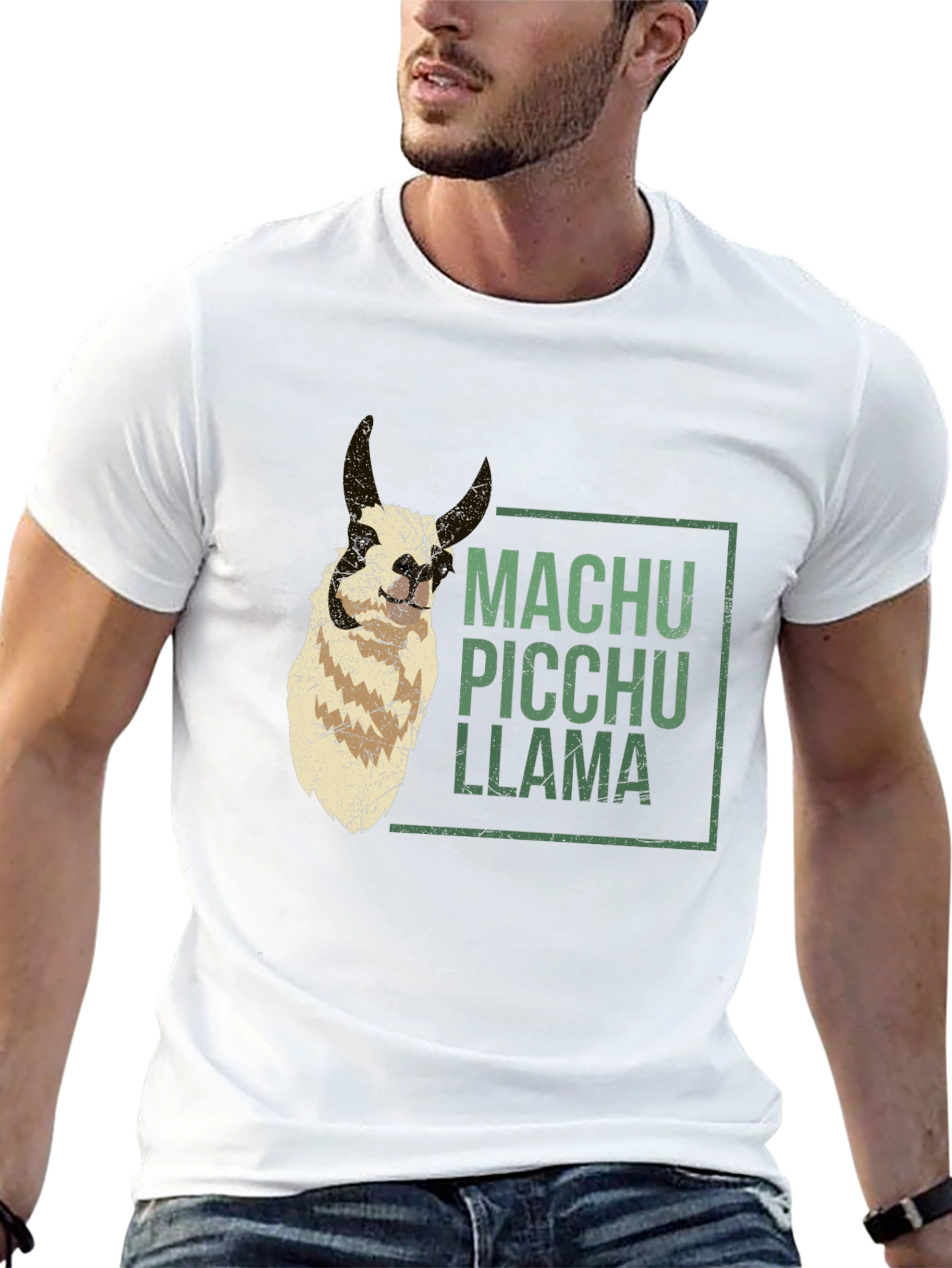 Machu Picchu Llama Graphic Tee - Black Crew Neck