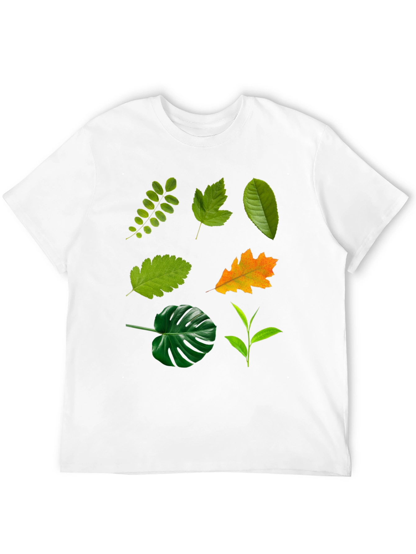 Leaf Collection Black T-Shirt