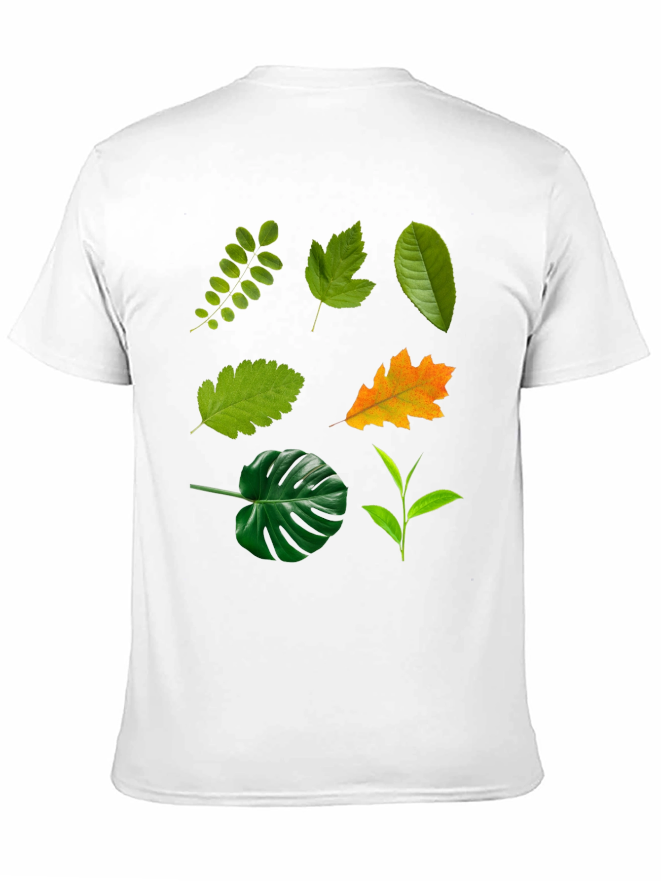 Leaf Collection Black T-Shirt
