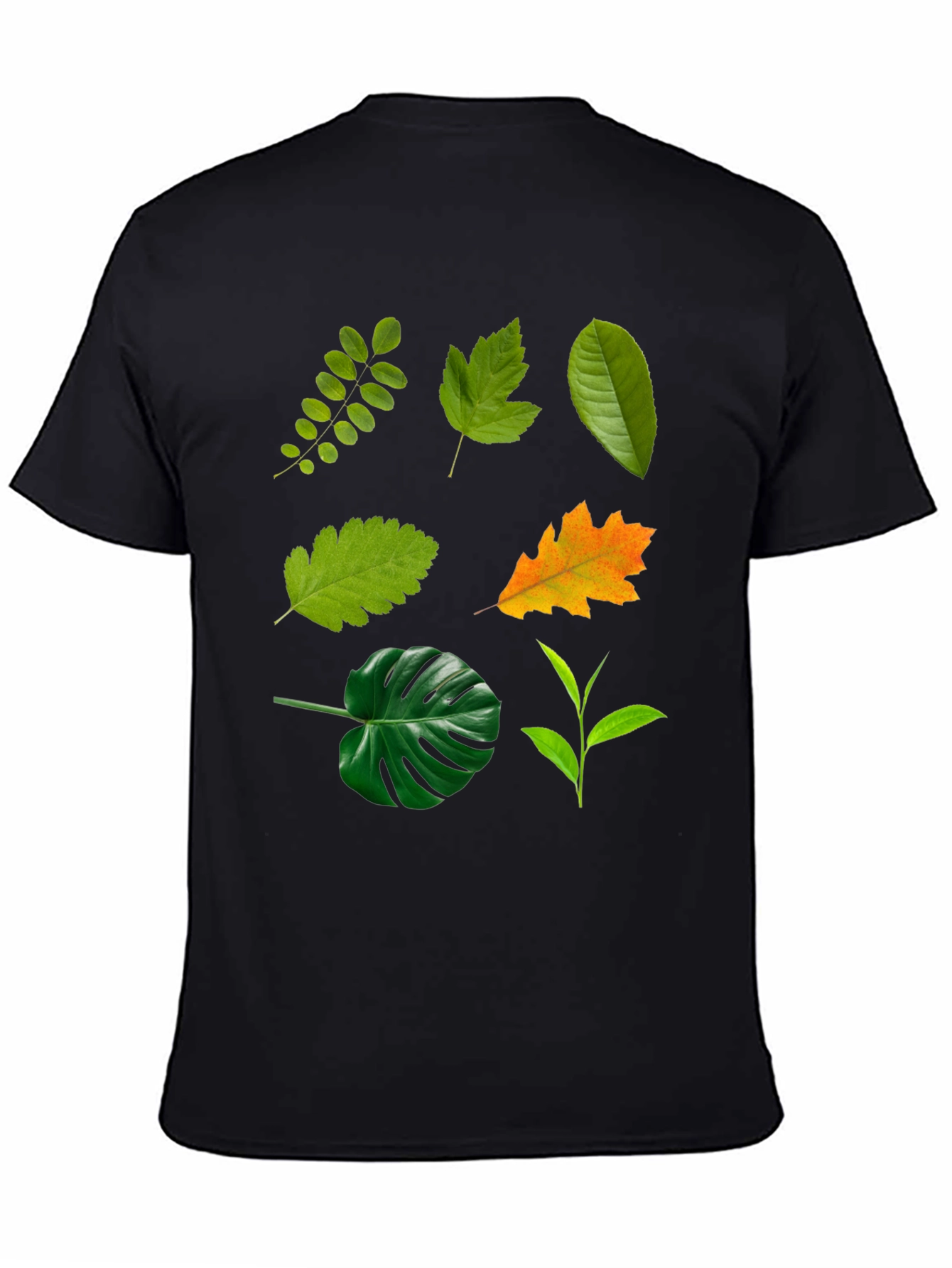 Leaf Collection Black T-Shirt