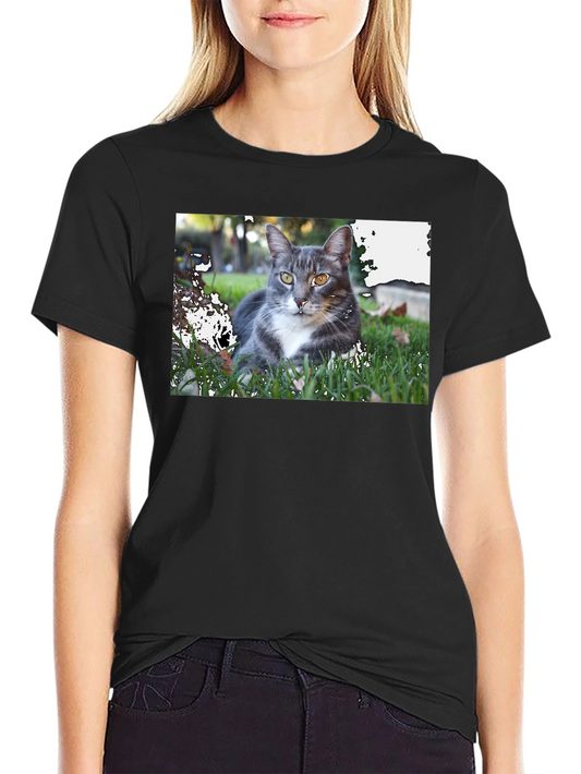 Gray Cat Graphic Tee - Mens Black T-Shirt