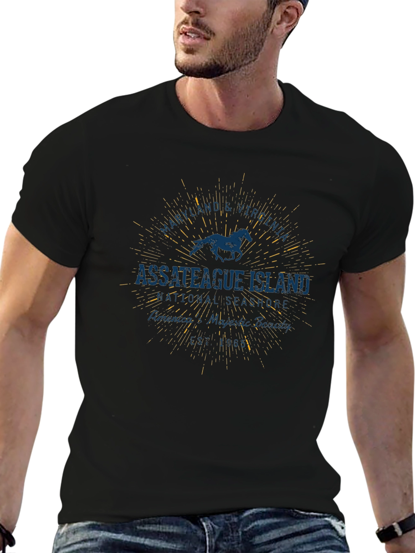 Assateague Island Horse Graphic Black T-Shirt